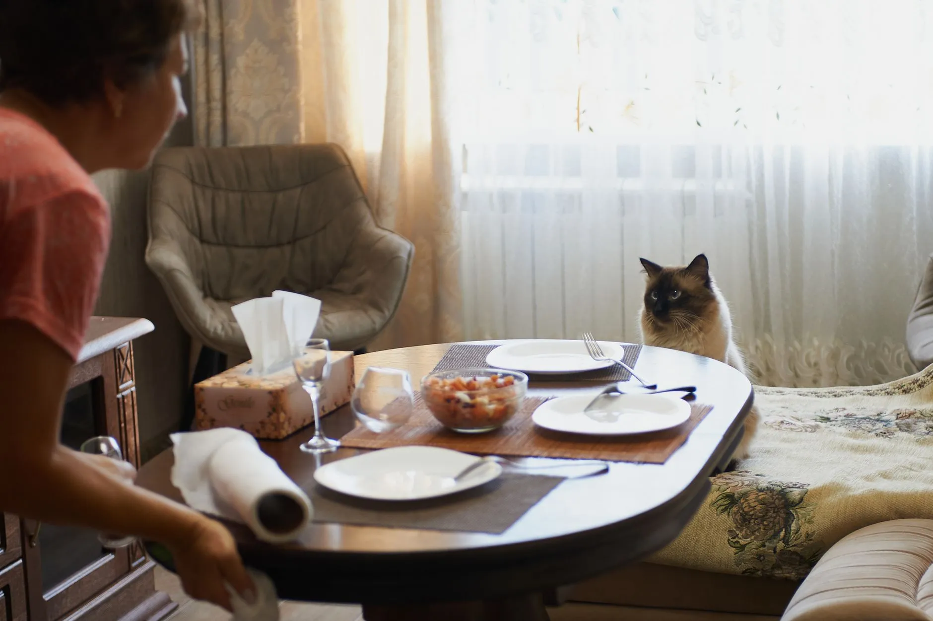 A Himalayan cat sits at a dining table with a woman preparing for dinner indoors.