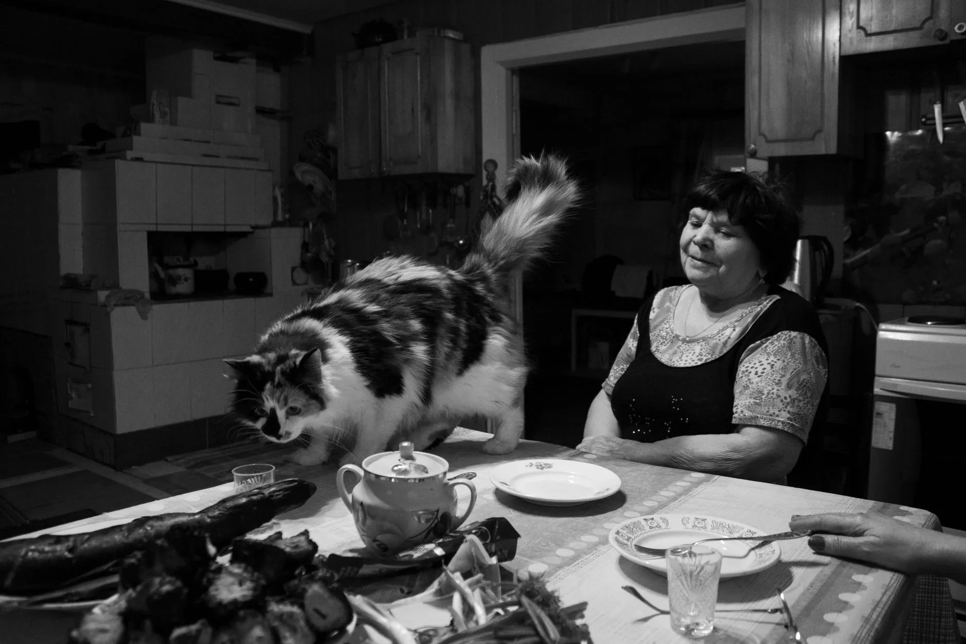 A senior woman watches a cat on a table in a cozy, monochrome kitchen setting.