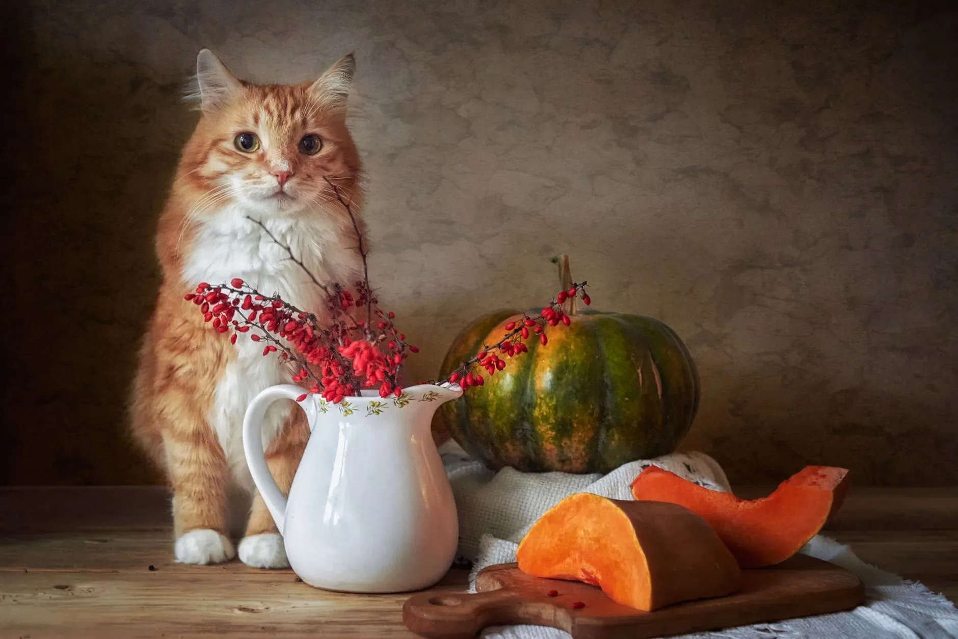 Orange tabby cat with autumn-themed still life, featuring pumpkins and red berries in a vase.