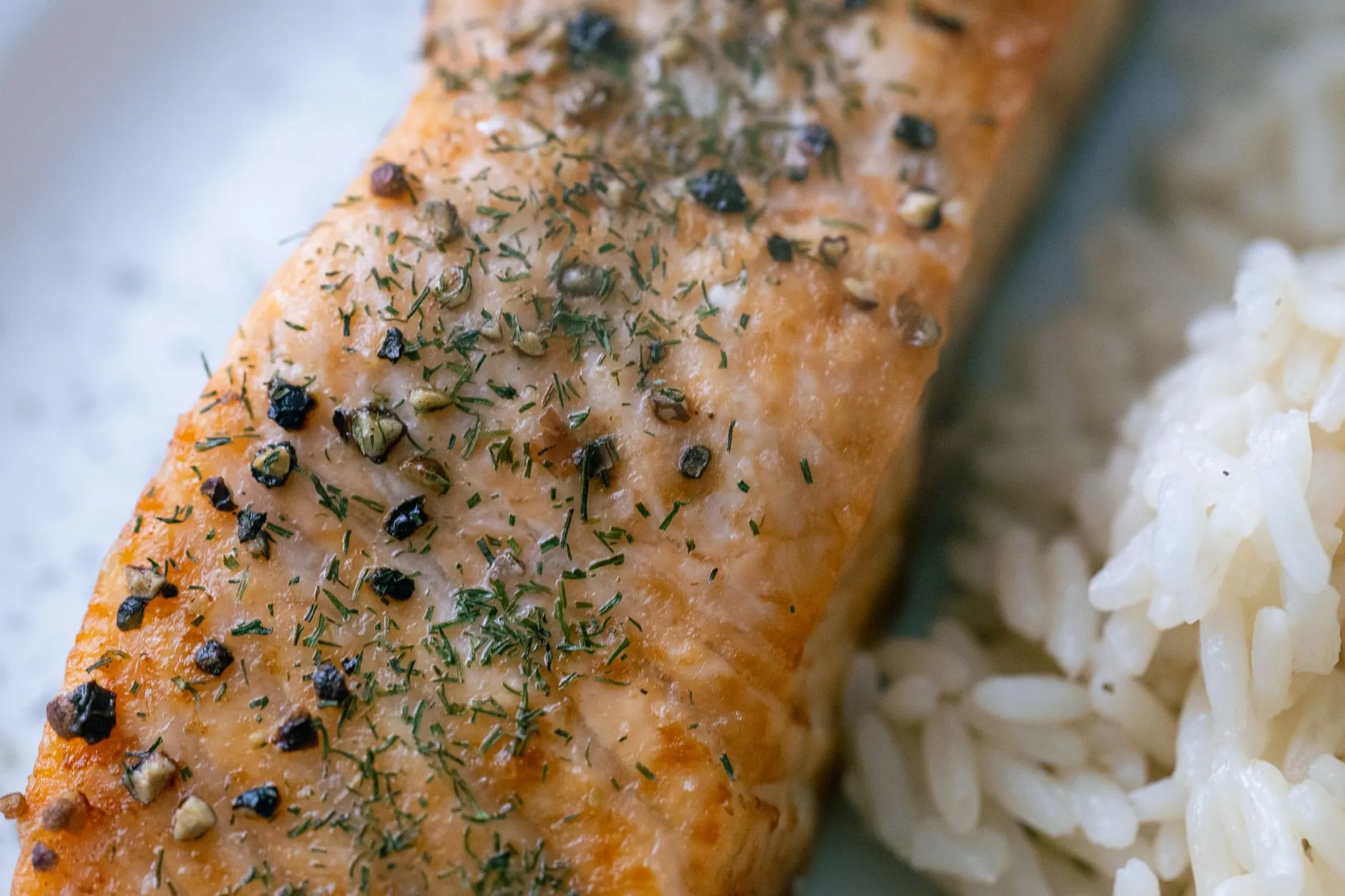Close-up of a grilled salmon fillet with spices and rice on a white plate.