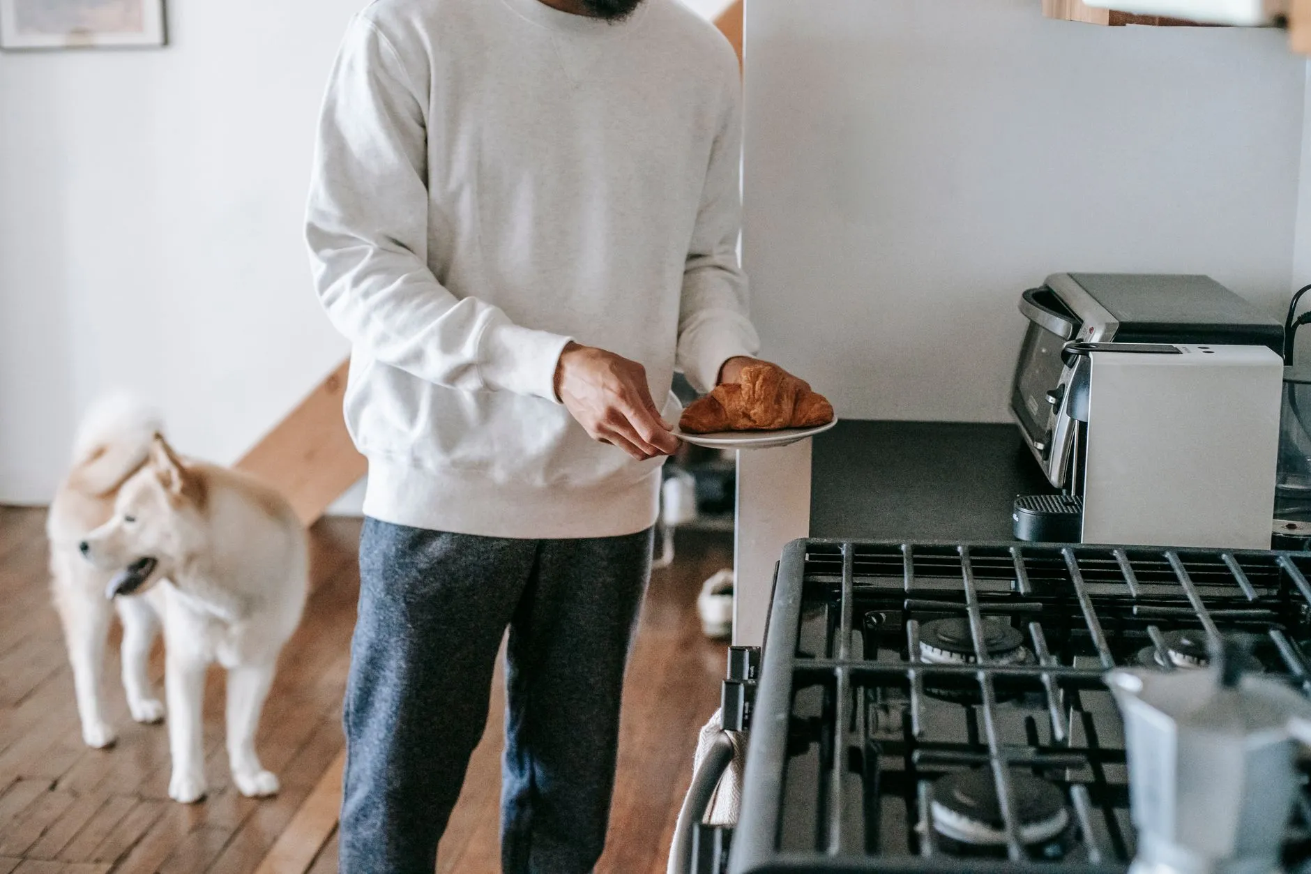 Crop anonymous male owner in casual outfit holding plate with fresh yummy croissant while standing in kitchen near adorable Akita Inu dog