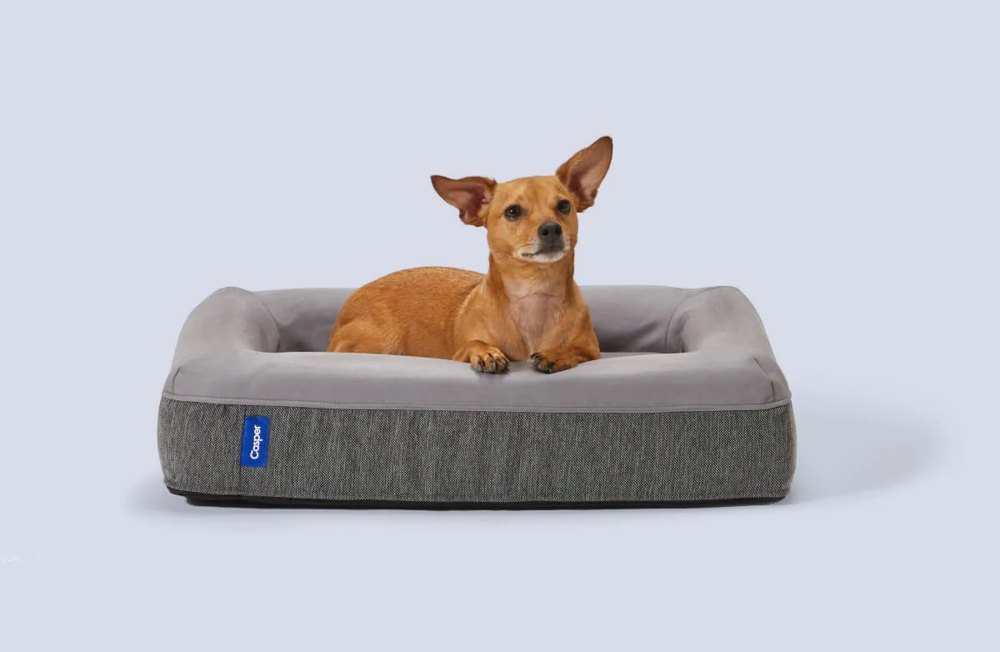 Casper Dog Bed product photo