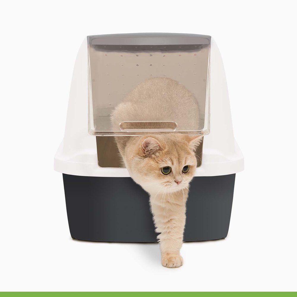 Catit Litter Box with Airsift Filter System product photo