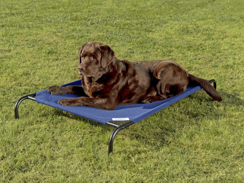 Coolaroo Original Elevated Dog Bed product photo