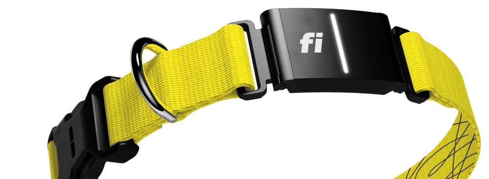 Fi Series 3+ Smart Dog Collar product photo