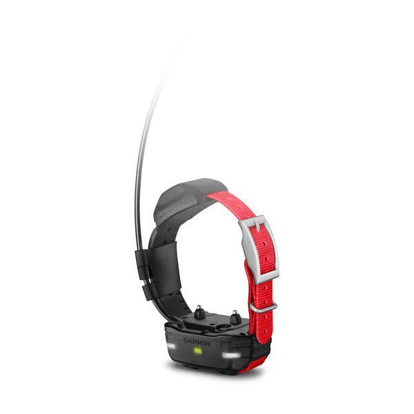 Garmin TT 15 Mini Dog Device product photo