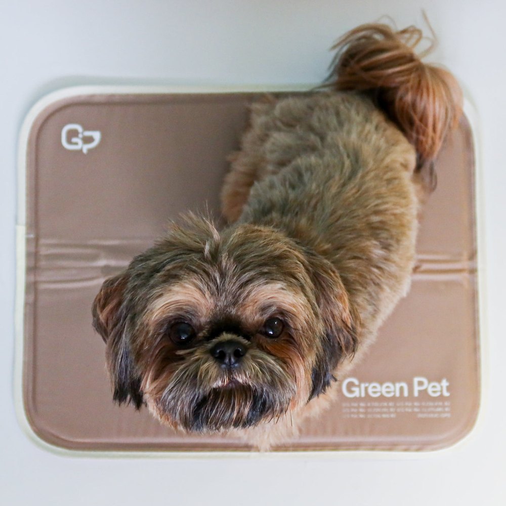 Cool Pet Pad product photo