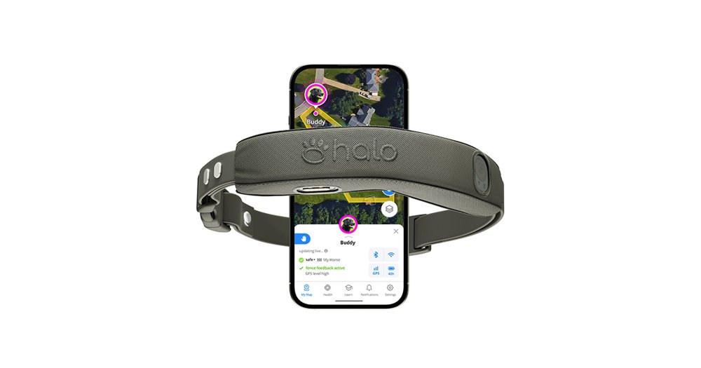 Halo Collar 5 product photo