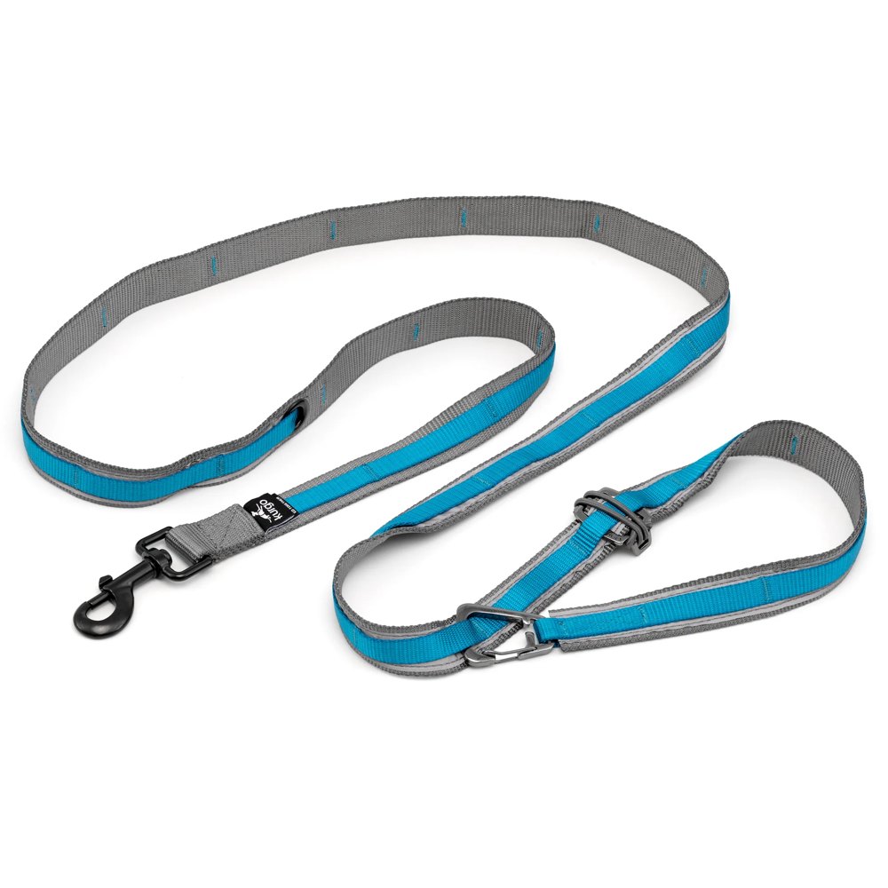 Kurgo Quantum Leash 2.0 product photo