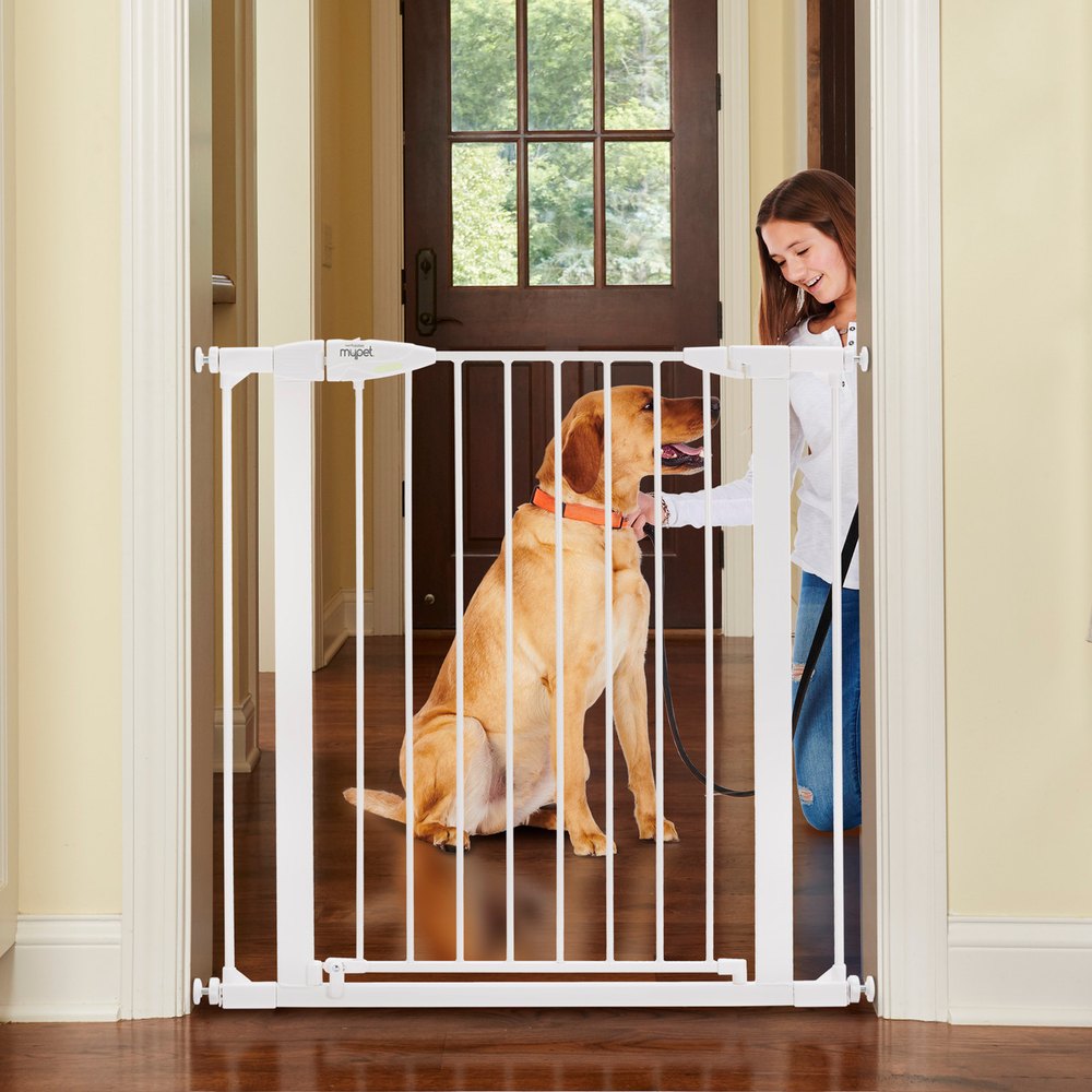 North States MyPet Tall Happy Tails Walk Thru Pet Gate product photo
