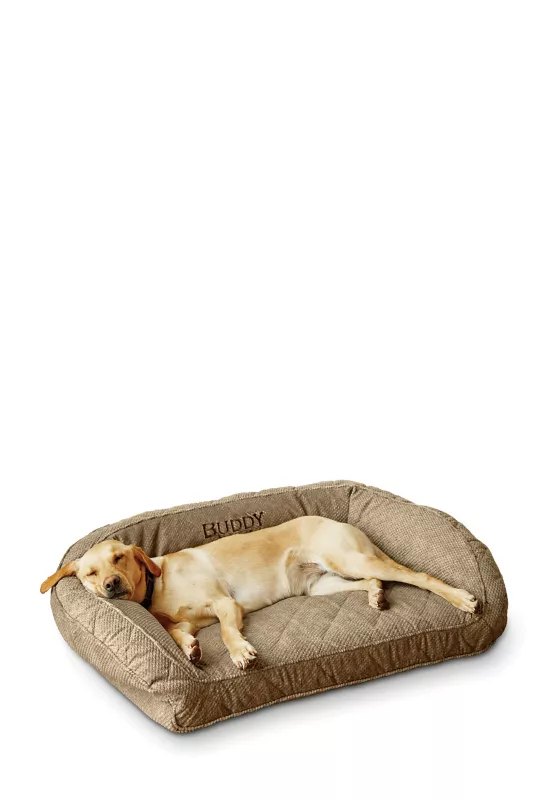 Orvis Memory Foam Couch Dog Bed product photo