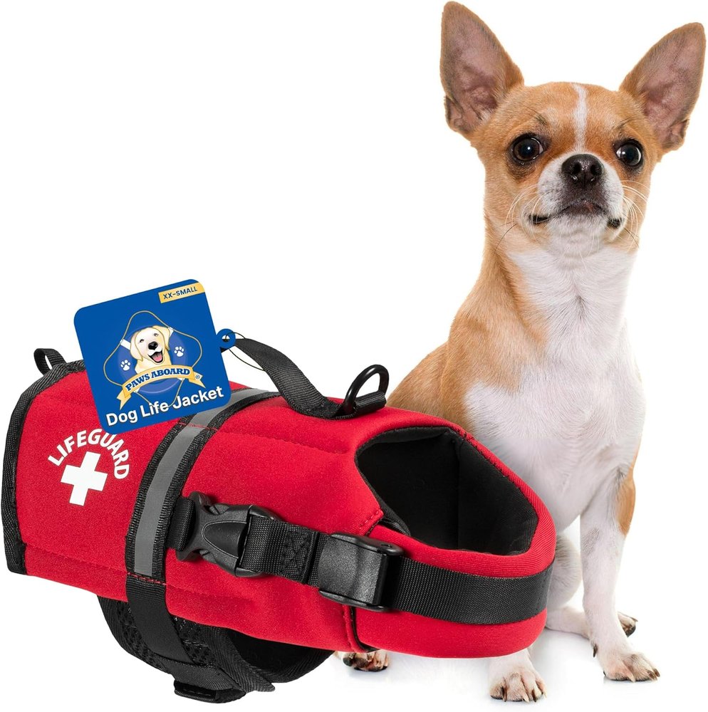 Lifeguard Neoprene Dog Life Jacket product photo