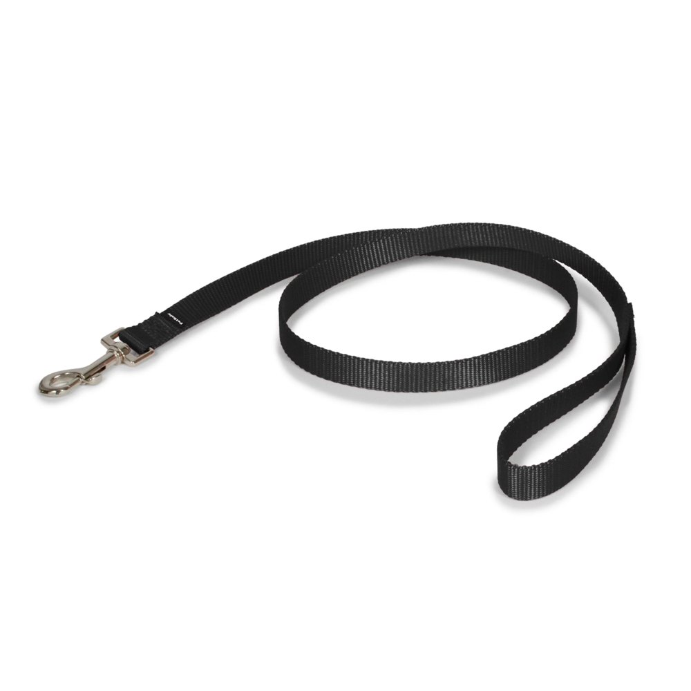 PetSafe Nylon Leash product photo