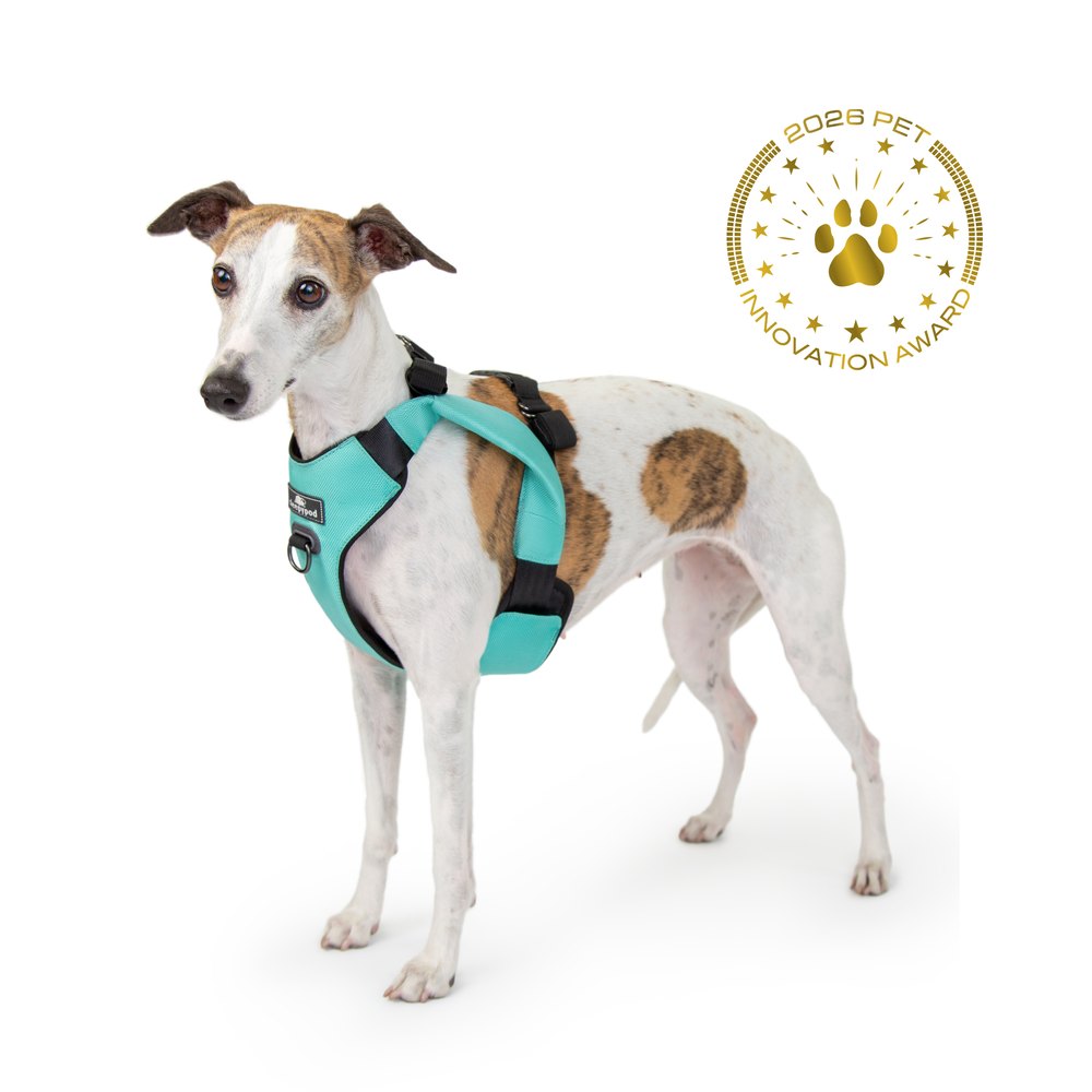 Clickit Range Crash-Tested Harness product photo